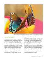 National Wildlife Federation®: Attracting Birds, Butterflies, and Other Backyard Wildlife, Expanded Second Edition