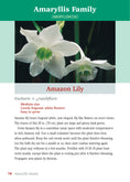 Load image into Gallery viewer, Pocket Guide to Houseplants

