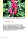 Load image into Gallery viewer, Pocket Guide to Houseplants
