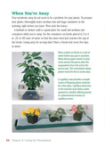Load image into Gallery viewer, Pocket Guide to Houseplants
