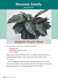 Load image into Gallery viewer, Pocket Guide to Houseplants
