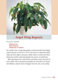 Load image into Gallery viewer, Pocket Guide to Houseplants
