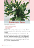 Load image into Gallery viewer, Pocket Guide to Houseplants
