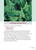 Load image into Gallery viewer, Pocket Guide to Houseplants
