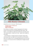 Load image into Gallery viewer, Pocket Guide to Houseplants
