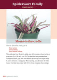 Load image into Gallery viewer, Pocket Guide to Houseplants
