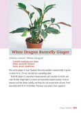 Load image into Gallery viewer, Pocket Guide to Houseplants

