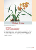 Load image into Gallery viewer, Pocket Guide to Houseplants

