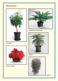 Load image into Gallery viewer, Pocket Guide to Houseplants
