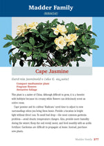 Pocket Guide to Houseplants