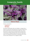 Load image into Gallery viewer, Pocket Guide to Houseplants

