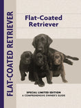 Load image into Gallery viewer, Flat-Coated Retriever
