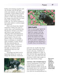 Load image into Gallery viewer, Flat-Coated Retriever
