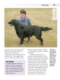 Load image into Gallery viewer, Flat-Coated Retriever
