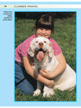 Load image into Gallery viewer, Clumber Spaniel
