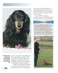 Load image into Gallery viewer, Dachshund
