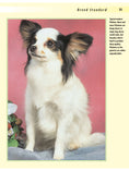 Load image into Gallery viewer, Papillon
