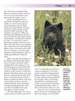 Chow Chow
