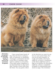 Chow Chow