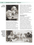 Load image into Gallery viewer, Dandie Dinmont Terrier
