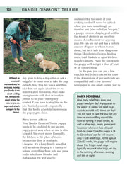 Dandie Dinmont Terrier
