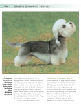 Load image into Gallery viewer, Dandie Dinmont Terrier
