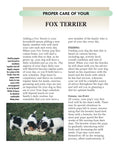 Load image into Gallery viewer, Fox Terrier
