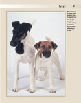 Load image into Gallery viewer, Fox Terrier

