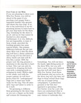 Load image into Gallery viewer, Fox Terrier

