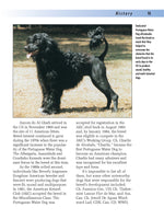 Portuguese Water Dog