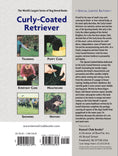 Load image into Gallery viewer, Curly-coated Retriever
