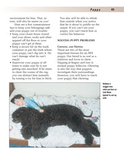 Irish Water Spaniel