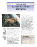 Load image into Gallery viewer, Basset Fauve De Bretagne
