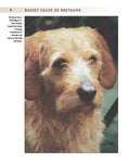 Load image into Gallery viewer, Basset Fauve De Bretagne
