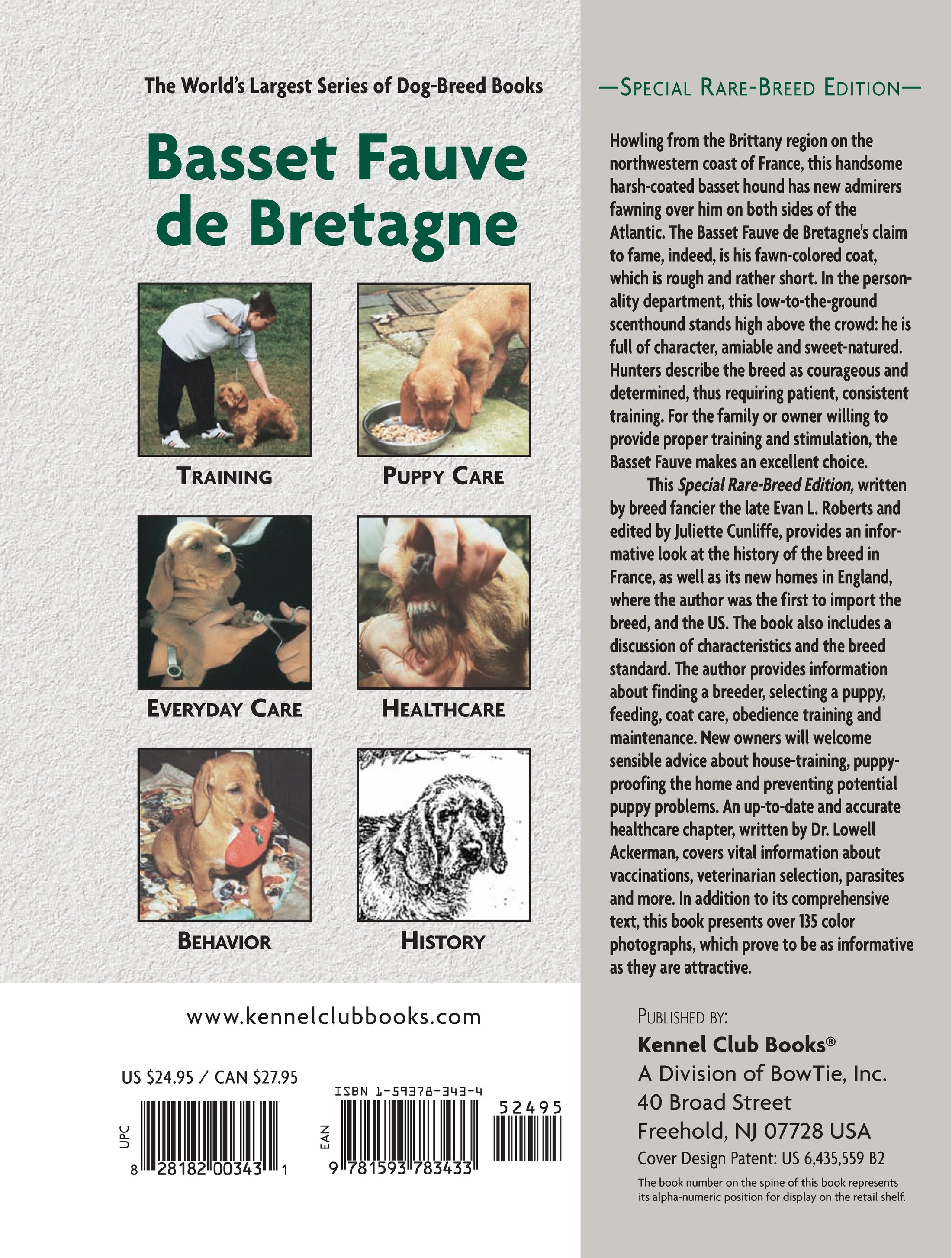 Basset Fauve De Bretagne