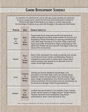 Caucasian Mountain Dog