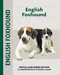 Load image into Gallery viewer, English Foxhound
