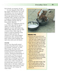 Load image into Gallery viewer, English Foxhound
