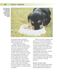 Load image into Gallery viewer, Cesky Terrier

