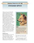 Load image into Gallery viewer, Finnish Spitz
