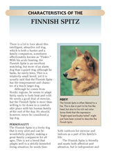 Finnish Spitz