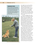 Finnish Spitz