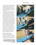 Load image into Gallery viewer, Puppy Training
