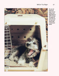 Load image into Gallery viewer, Puppy Training
