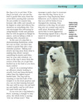 Load image into Gallery viewer, Better Dog Behavior and Training
