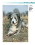 Load image into Gallery viewer, Better Dog Behavior and Training
