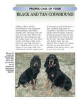 Load image into Gallery viewer, Black and Tan Coonhound
