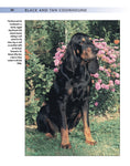 Load image into Gallery viewer, Black and Tan Coonhound
