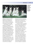 Load image into Gallery viewer, White Shepherd
