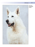Load image into Gallery viewer, White Shepherd
